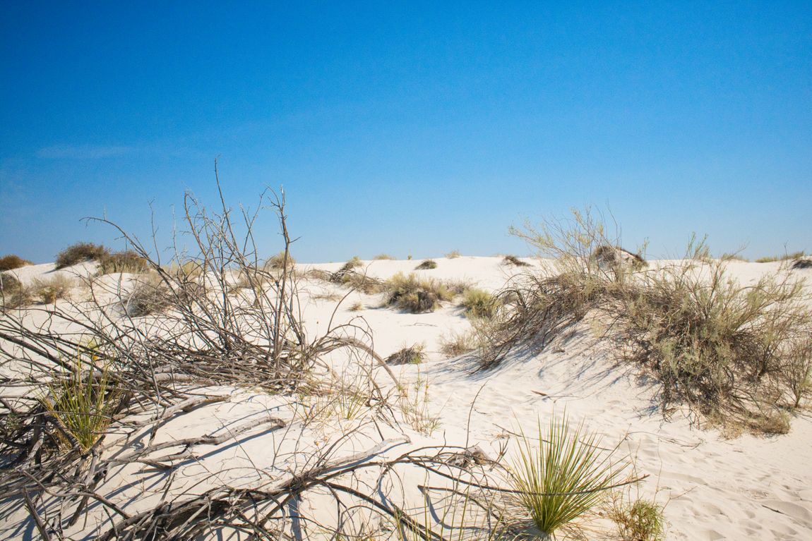 White Sands - the Largest Gypsum Desert in the World